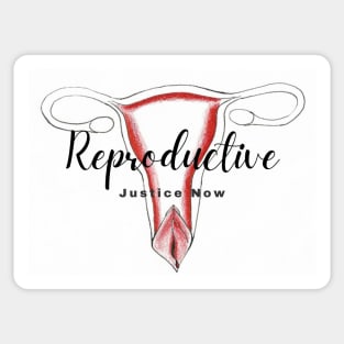 Reproductive Justice Now Sticker